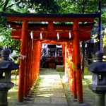 [레전드] [실화괴담] 단편 모음 5