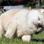 [블락비] 울애기들 넘 귀엽지 않아요?