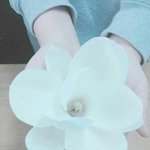 [블락비] 동생한테꽃따달라고징징댓더니