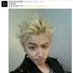 [블락비] 블락비 <b>재팬</b> 트윗! 엠카확정!!