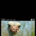 [EXOM] ㅅㄷ?)<b>소문</b>이란게 한번이상하게나면