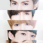 [EXOM] 헐 <b>솜</b><b>이</b>들 톡생겼었네