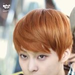 [EXO] 작년에 <b>네이버</b>블로그에 시우민색기에 대해 쓴