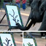 [짤북] 코끼리가 <b>제법</b>인데?.jpg