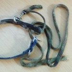 [<b>삼순</b>이] 주차장에 사는 멍이 세번째이야기