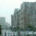 [댓글부탁] 남서울대학교 운동건강학과 일방적인 <b>폐과</b>통보!