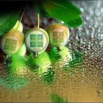 신천지,성경에서 본 우리의 <b>양식</b>