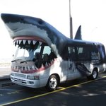 독특한 모양의 신기한 <b>버스들</b>