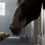 [<b>금단</b>의사랑] 강아지 <b>금단</b>의 사랑