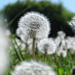 2주9만원!> 한방다이어트 봄맞이! 한방다이어트 대박후기 <b>wow</b>!