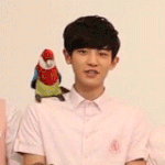 [찬열] <b>앵무새</b> 인형에 꽂힌 찬열