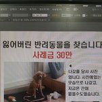 소담양 이야기