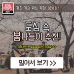<b>도심</b> 속 봄 나들이 추천 장소 best 7