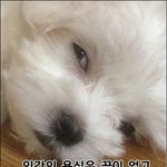 무지함 덕분에 사기 먹었다....