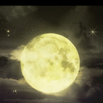 [EXO] <b>이런</b> 분위기 <b>사진</b> 좋지않냐‥