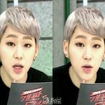 [블락비] ㅅㄷ)헐나미쳤나봐근데멀쩡해므ㅓ쟈