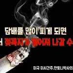 [짤북] 담배의 <b>진실</b>?