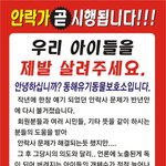 [<b>동해</b>보호소] 안락사위기에 처한 <b>동해</b>아이들