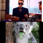 [EXO] 희수횽 <b>코알라</b>설