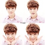 [루한] [필독] <b>사슴</b>농장메뉴얼(끌올)