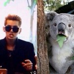 [레이] 판이 졸귀여워ㅠㅠㅠㅠㅠㅋㅋㅋㅋㅋㅋㅋ