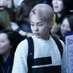 [시우민] 벚꽃민석 고화질.<b>jpg</b>