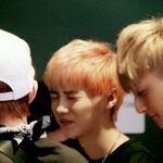 [루한] 날씹덕사시켰던루하니