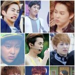 [시우민] 찡찡만두에서 <b>벚꽃</b>찡찡만두로