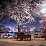 [여자의심리] 마음없는 사람과 만나능것