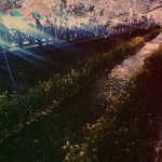 [EXO] <b>진해</b>에놀러와