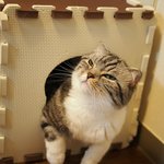 [유봉이네] 앙의리(유봉이네)