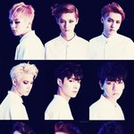 [EXO] 종대가 최애지만 슈밍이랑 크리스랑 디오 레이