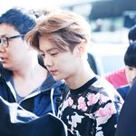 [EXO] 루한 <b>코끝</b> 좀 없어진거같지않냐