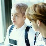 [시우민] 벚꽃슈밍 뉴 고화질 