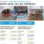 어둠속에서 신음하고 있는 고양이들을 살려주세요
