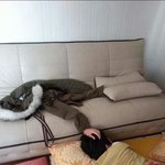 [짤북] 착시 <b>지대</b>로다..