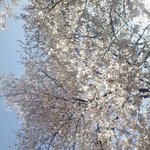 [시우민] ㅅㄷ오늘은나의exo날이였어..