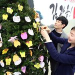 경북도지사 후보 김관용 캠프내 김관용의 ‘희망나무’ 봄꽃 만발