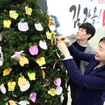 경북도지사 후보 김관용 캠프 ‘희망나무’ 봄꽃 만발