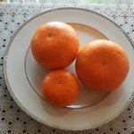 신천지에는 천혜향(天惠香)이 있다.