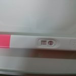 임테기좀 봐주세요