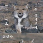 [EXO] 아맞다 공부해야되는데 