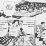 [exo] 대구나경북사는언니들 질문있어!!!