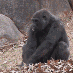 [EXO] <b>뛰발</b>!!!!! 나놀래키지마!!!!!