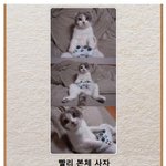 마음으로 보는 <b>사진들</b>..46