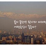 ♪ 삼겹살은 싫어! 미세먼지에 좋은음식@