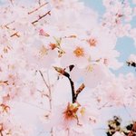[EXO] 친구때문에 <b>액정</b>깨졌으면 돈받을거야?