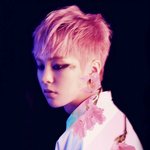 [시우민] 올림픽공원 체조경기장 좌석별 시야 사진