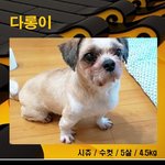 다롱이와 몽순이에게 사랑을 주세요