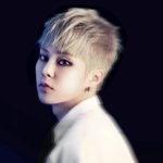 [시우민] 데뷔 2주년 ‘엑소’…처음으로 돌아간다(기사)